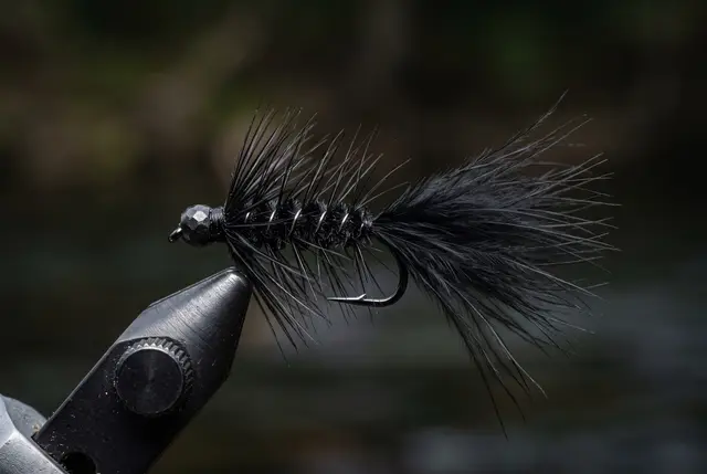 Woolly Bugger